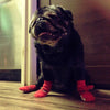 Spiderman Socks
